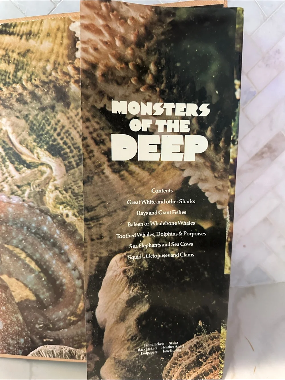 Monsters of the Deep (Blue) by Heather Angel - Marine Life Book